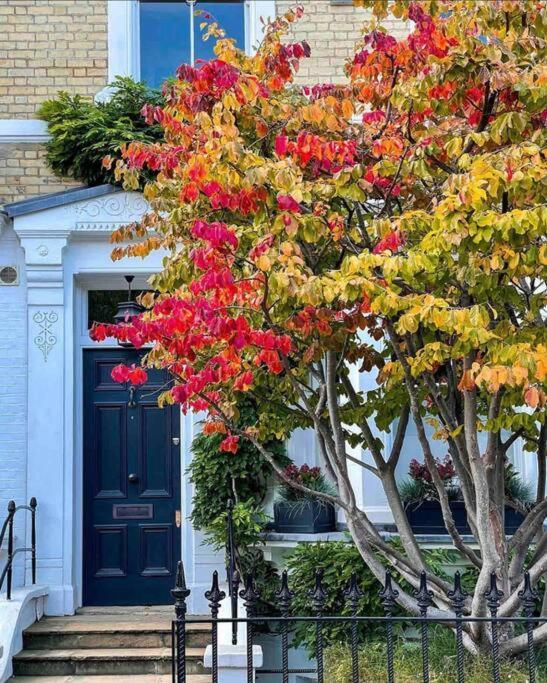 Chelsea Posh Apartment London Bagian luar foto